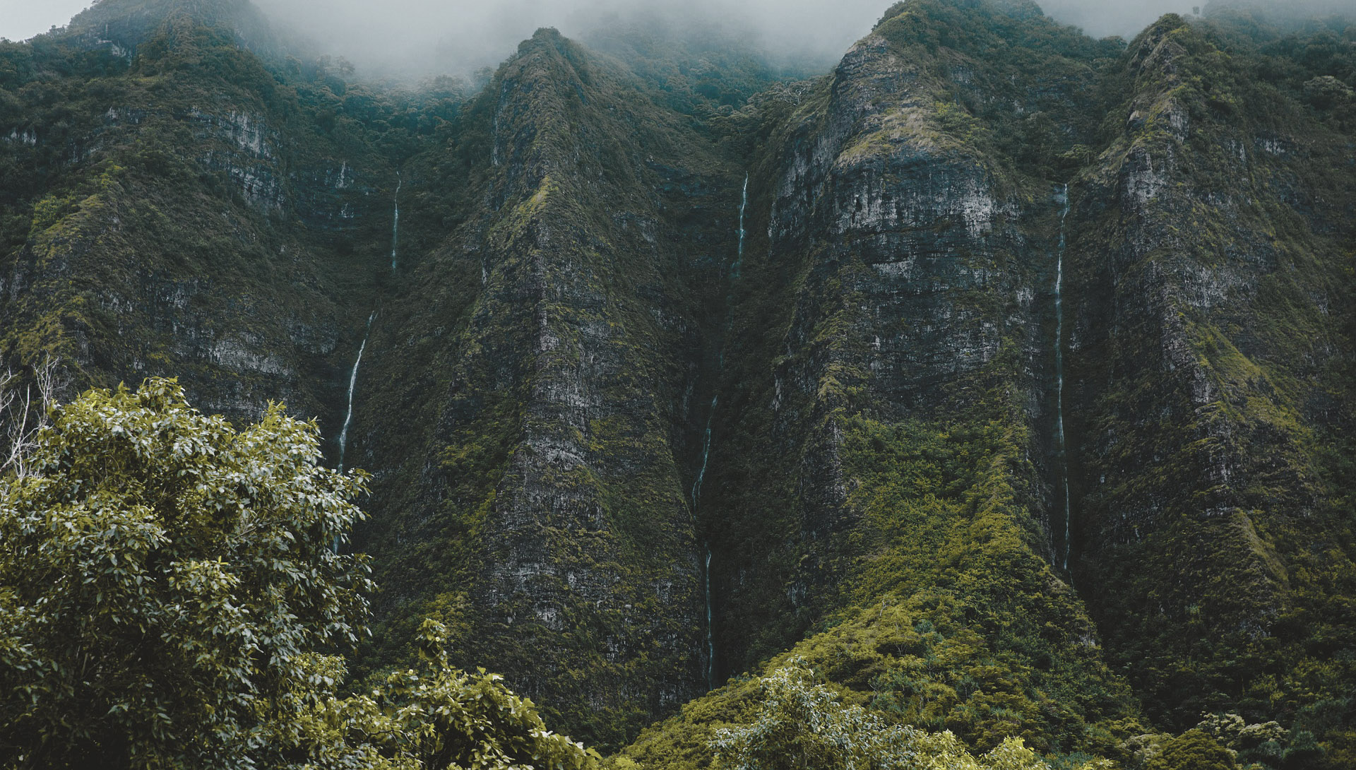 Black Friday 2025: Análise Completa de Dados, Vendas e Comportamento do Consumidor